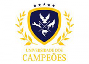 universidadecampea